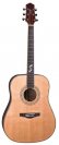 Акустическая гитара Naranda DG305SNA