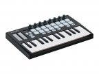 MIDI-контроллер LAudio ORCA-MINI25, 25 клавиш