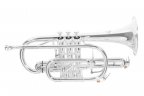Корнет Roy Benson CR-302S Bb