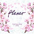 Комплект струн для леверсной арфы LHSN2, 2 октава, Мастерская Прохора Лапина