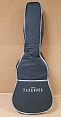 Классическая гитара Parkwood PC90