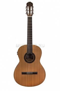 Классическая гитара 4/4 Prodipe JMFSTUDENTEQ Student, со звукоснимателем