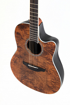 Ovation CS24P-NBM Celebrity Standard Exotic Mid Depth Dark Nutmeg on Exotic Burled Maple электроакустическая гитара