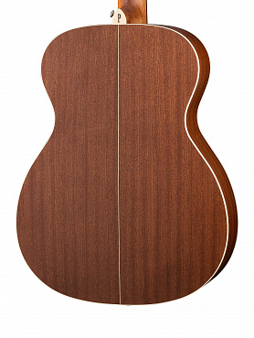 Акустическая гитара Parkwood S22-GT
