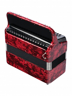 Баян ученический двухголосный "Тула-209" 92/55х100-II BN-37-RD, красный