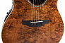 Ovation CS24P-NBM Celebrity Standard Exotic Mid Depth Dark Nutmeg on Exotic Burled Maple электроакустическая гитара