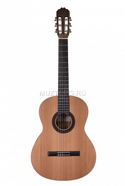 Классическая гитара Prodipe JMFSTUDENT3/4 Student 3/4