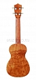 Укулеле Prima M220C, концертная