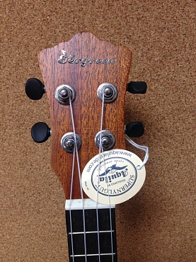 Укулеле EVERGREEN S-242ADK7 Concert 24" с уценкой