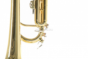 Труба ROY BENSON TR-101