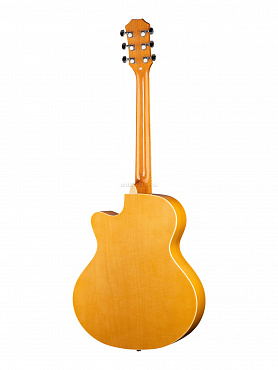 Акустическая гитара HOMAGE RA-A01C-NL