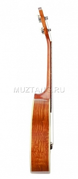 Укулеле Prima M220C, концертная