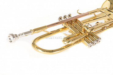 Труба ROY BENSON TR-101