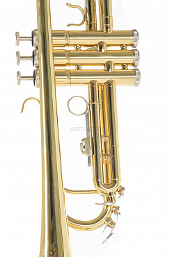 Труба ROY BENSON TR-101